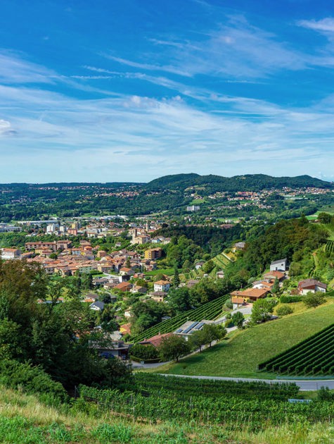 10 Ti Presento Il Mendrisiotto 2020 Giuseppe Cerro Panorama Sul Basso Mendrisiotto